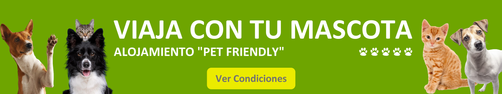 Casa Rural Finca los Pájaros - Viaja con tu Mascota