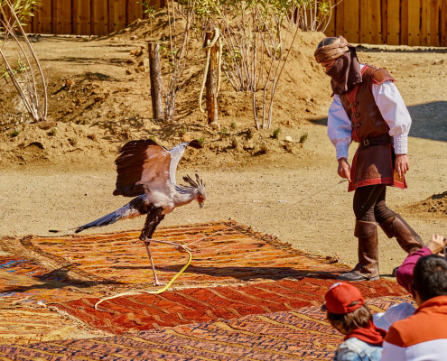 Finca los Pájaros - Casa Rural cerca de Puy du Fou