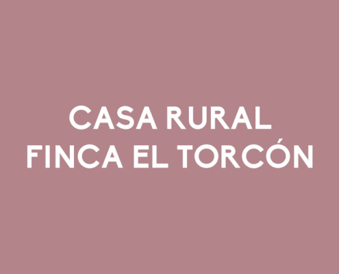 Finca el Torcón - La Casa