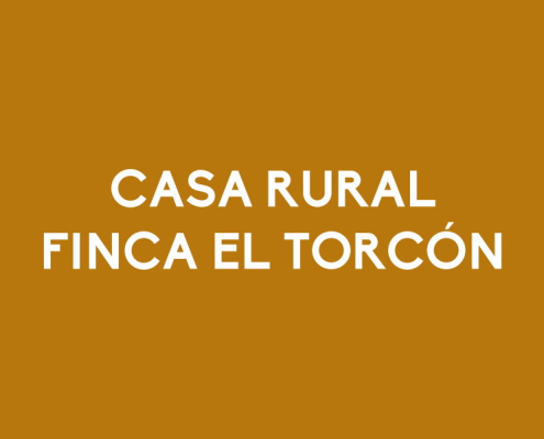 Finca el Torcón - La Casa