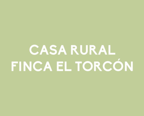 Finca el Torcón - La Casa