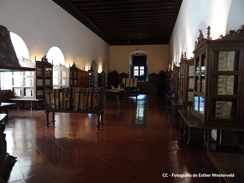 Museo de Tavera Toledo