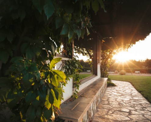 Casa Rural Finca los Pájaros - El Exterior