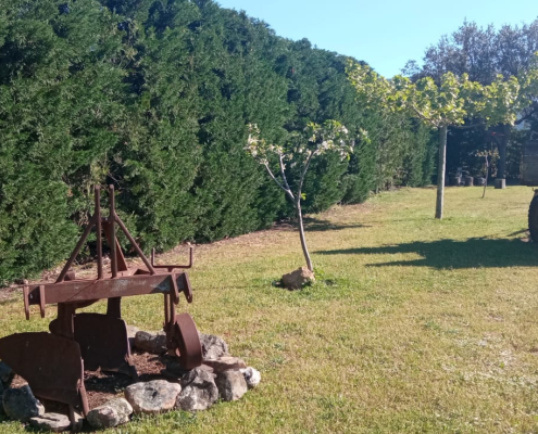 Casa Rural Finca los Pájaros - La Finca