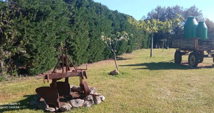 Casa Rural Finca los Pájaros - La Finca