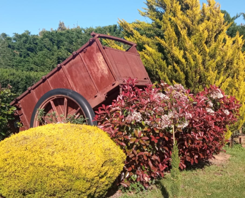 Casa Rural Finca los Pájaros - La Finca