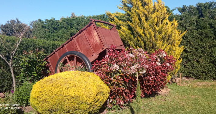 Casa Rural Finca los Pájaros - La Finca