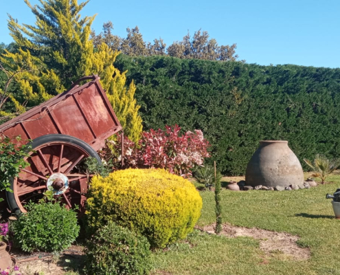 Casa Rural Finca los Pájaros - La Finca