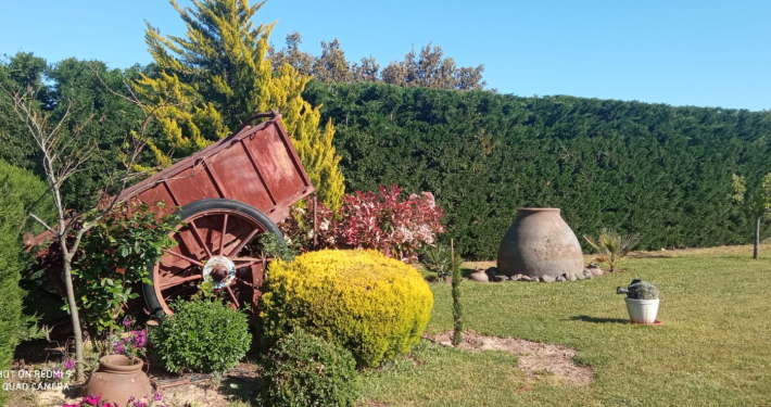 Casa Rural Finca los Pájaros - La Finca