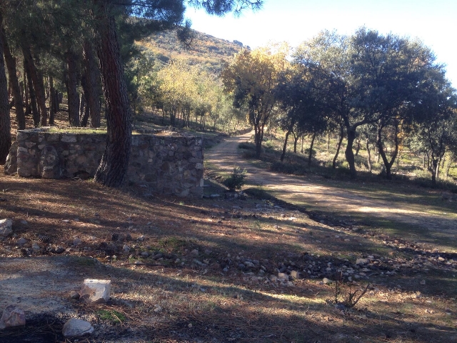 Ruta de Senderismo La Galinda-Las Nacientes