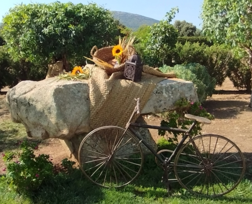 Casa Rural Finca los Pájaros - Celebra tu Evento