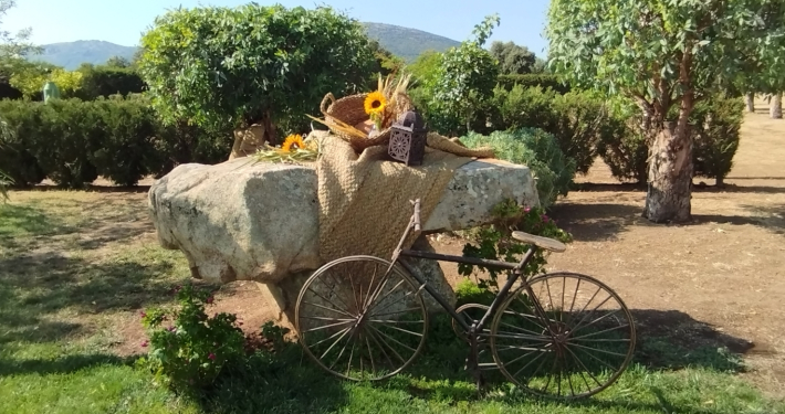 Casa Rural Finca los Pájaros - Celebra tu Evento