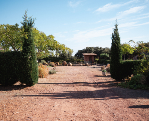 Casa Rural Finca los Pájaros - El Exterior