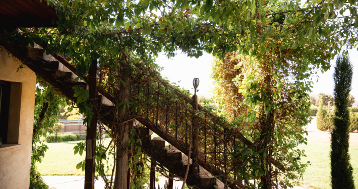 Casa Rural Finca los Pájaros - El Exterior