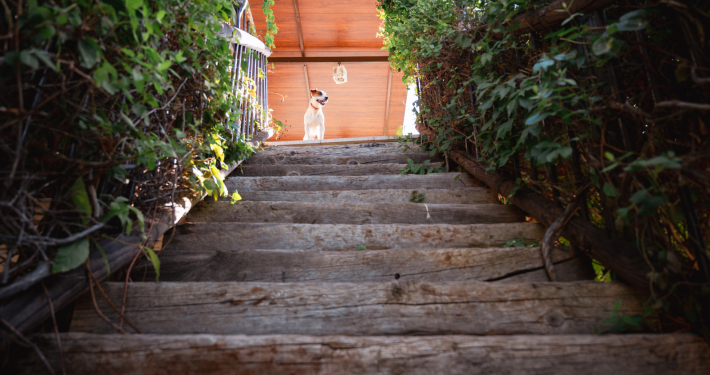 Casa Rural Finca los Pájaros - El Exterior