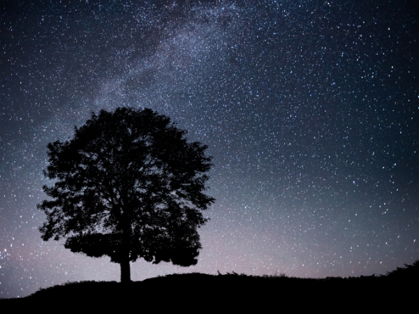 Turismo de Estrellas en los Montes de Toledo